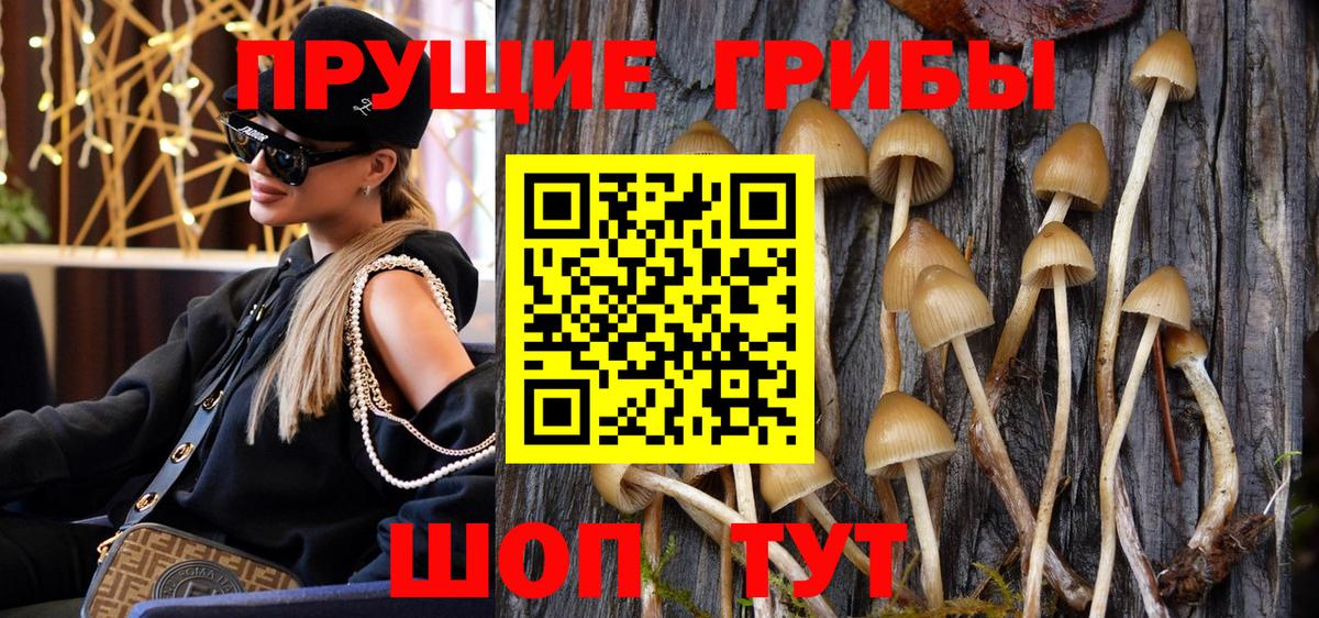 Псилоцибиновые грибы Magic Shrooms  Галлюциногенные грибы GOLDEN TEACHER  Сочи  Вход с VPN 
